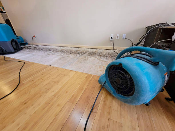 Professional Burst Pipe Water Damage technician working in Chester, WV