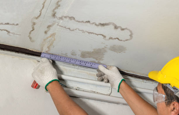 Affordable Burst Pipe Water Damage solutions in Chester, WV